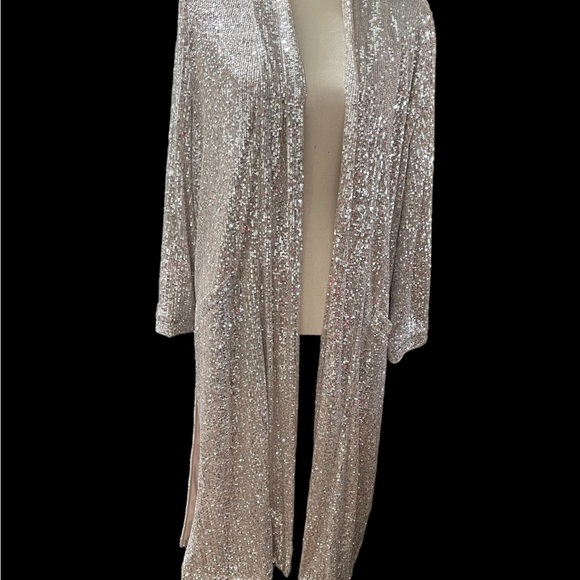 Sequin Silver Duster Anthropologie Dulcinea Jacket x BB Dakota Size Large - Picture 4 of 10